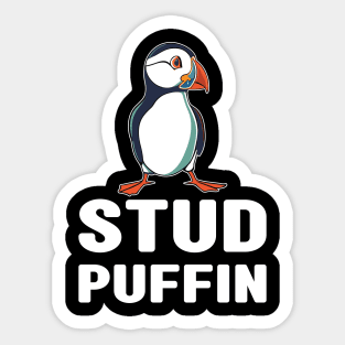 Stud Puffin Funny Seabird Iceland Puffin Bird Sticker